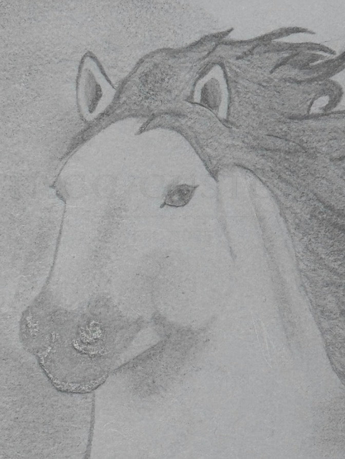 “Unbridled Sovereign”